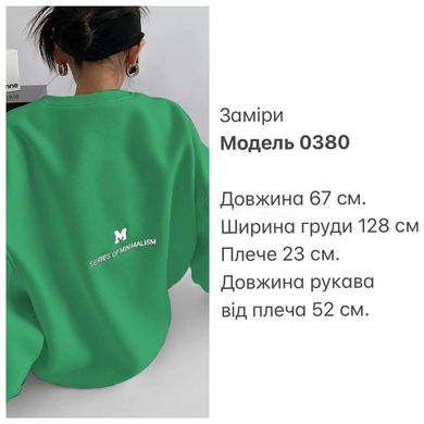 Світшот тринитка на флісі ТУРЦІЯ ПЕНЬЄ. Модель: R0380, колір зелений, розмір універсал 42-48 R0380 фото